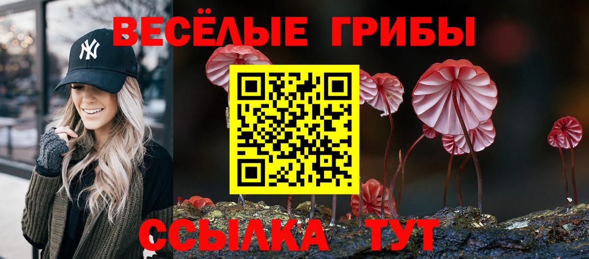 Галлюциногенные грибы мухоморы Щёлково