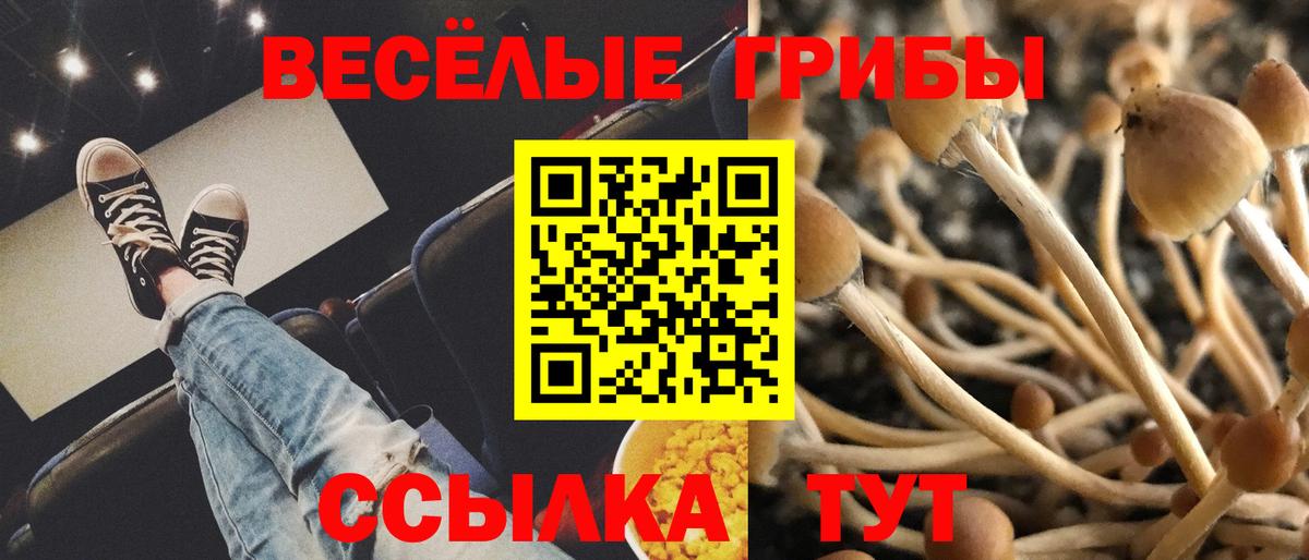 Щёлково  Галлюциногенные грибы MAGIC MUSHROOMS  закладка  Вход с VPN  Псилоцибиновые грибы ЛСД 